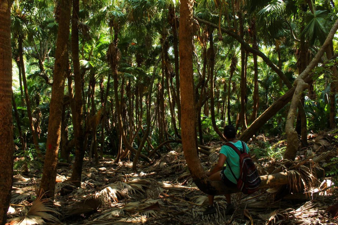 The Green Shack Quatre Soeurs ภายนอก รูปภาพ