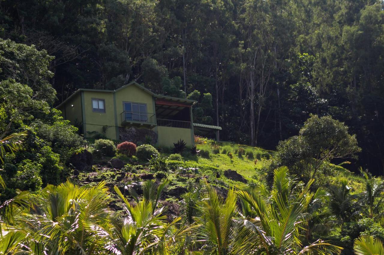 The Green Shack Quatre Soeurs ภายนอก รูปภาพ