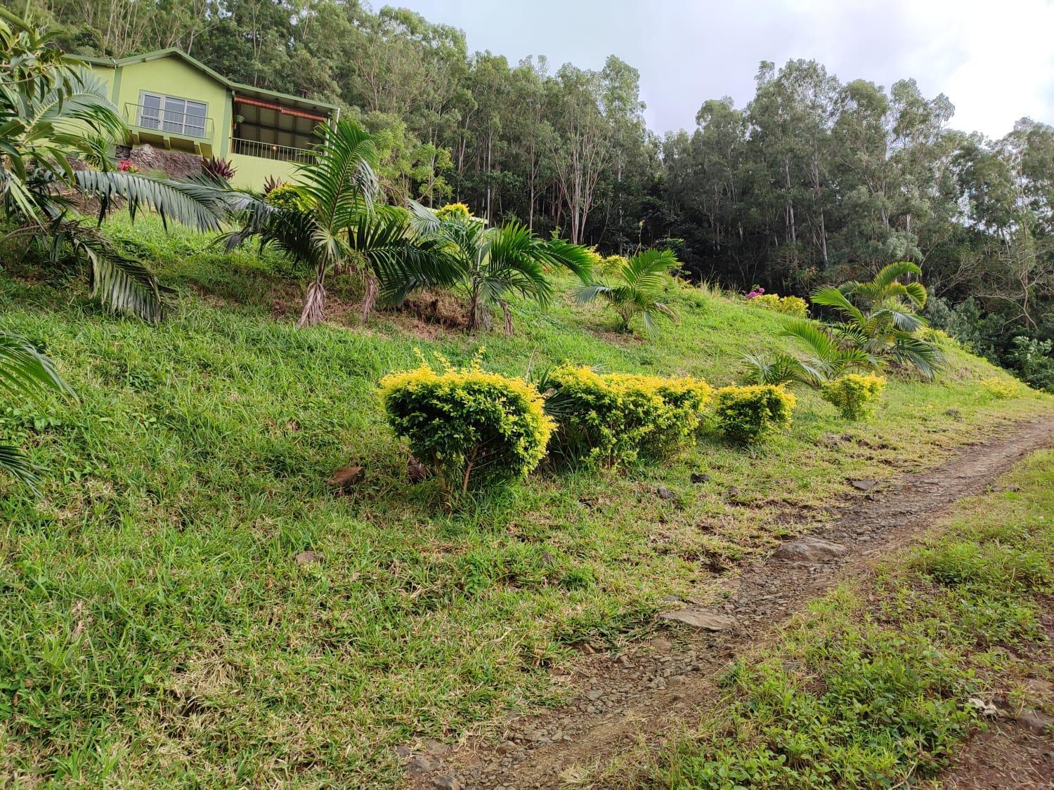 The Green Shack Quatre Soeurs ภายนอก รูปภาพ